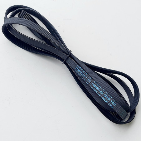 Correia Estriada 6PHE 1991